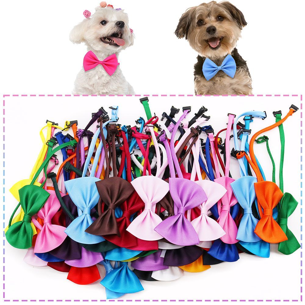 Регулируемые модные галстуки-б – обзор и цена Pet Supplies In Bulk