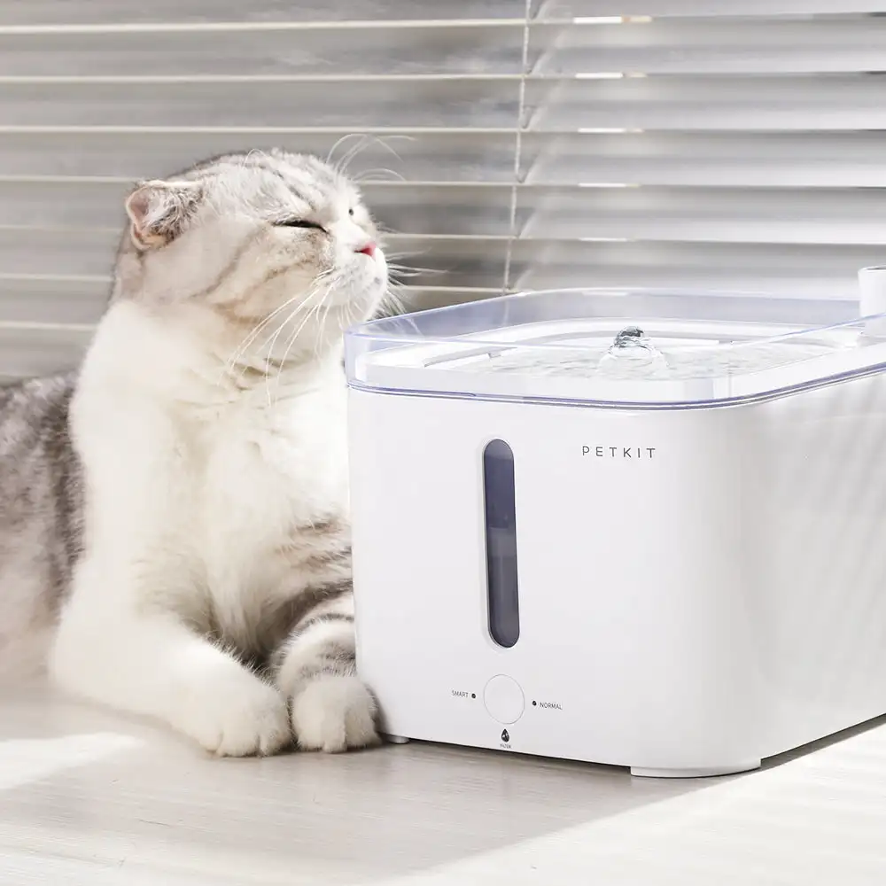 CANBOUN EVERSWEET Series Умный – обзор и цена Pet Water Fountain