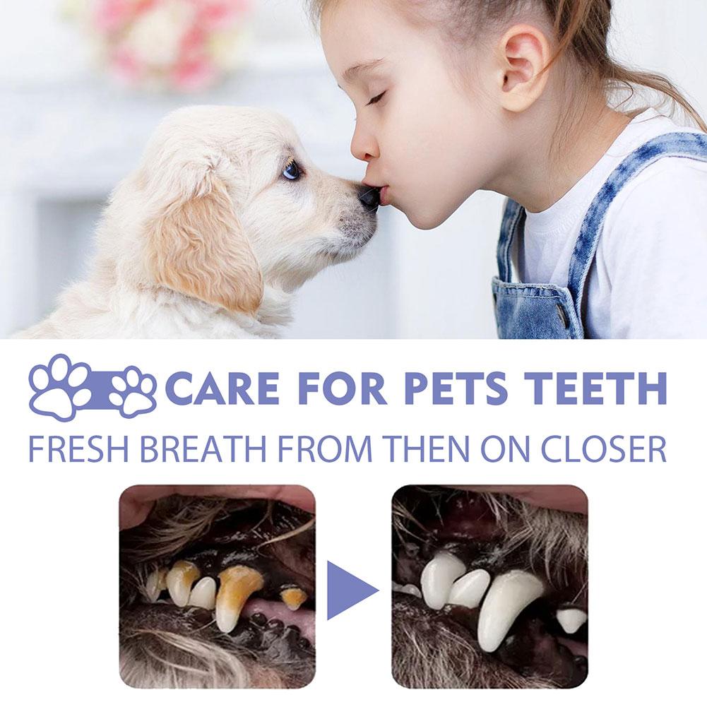 Спрей для чистки полости рта д – обзор и цена Pet Supplies Nz