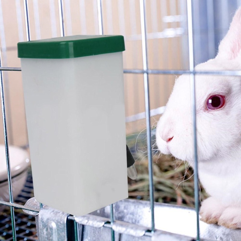 Поилка-диспенсер для животных: – обзор и цена Pet Supplies Nz