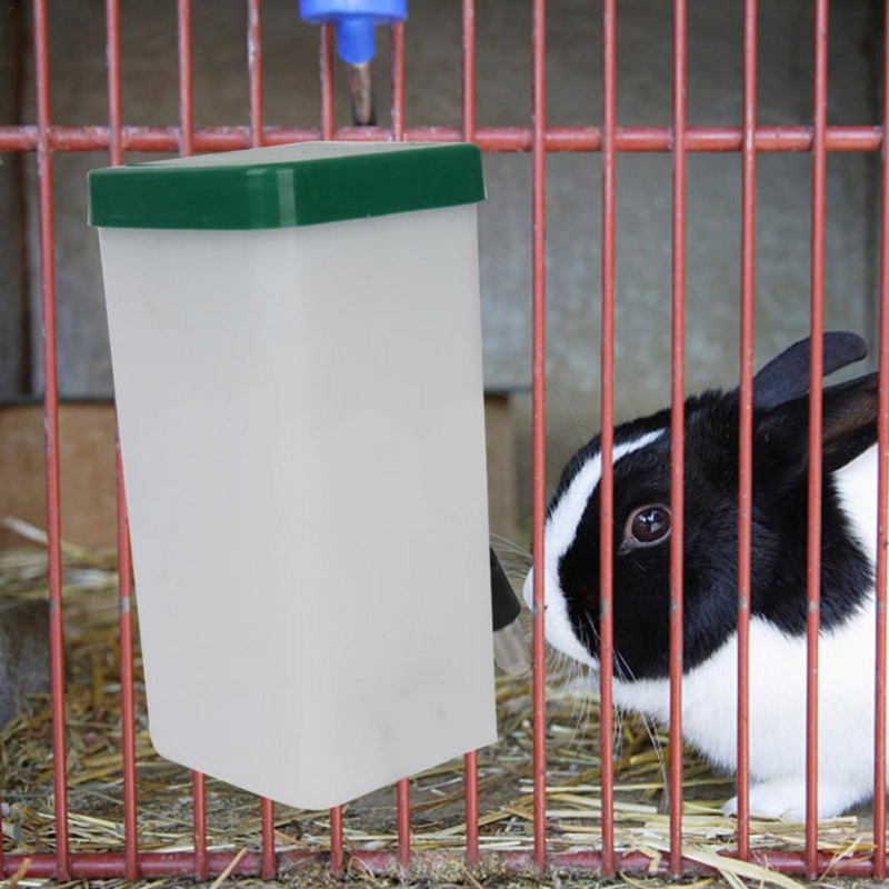 Поилка-диспенсер для животных: – обзор и цена Pet Supplies Nz